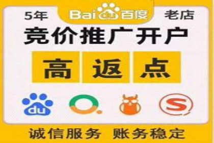 某某SEM服务公司成功案例：提升品牌曝光度